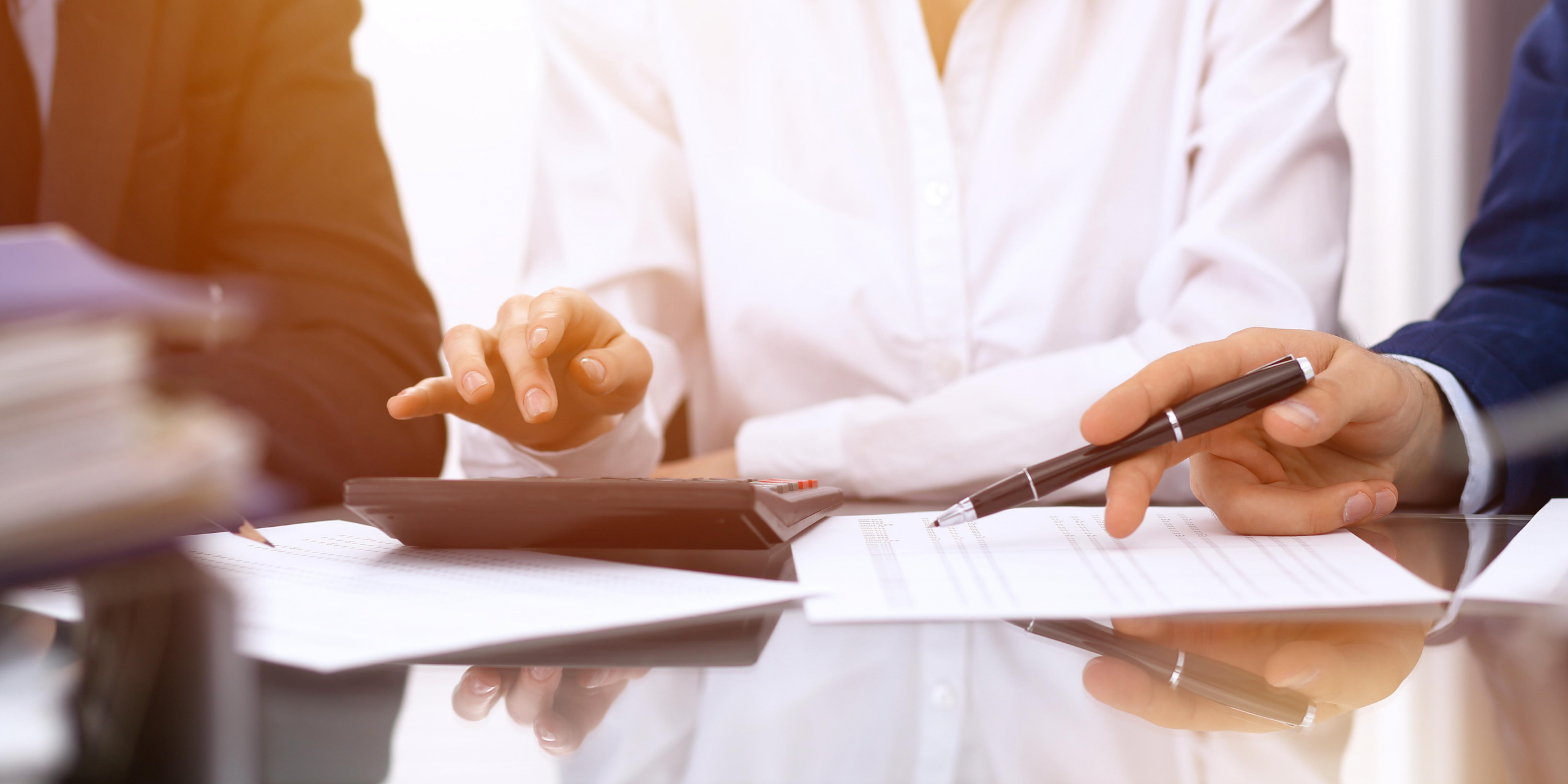 Ginini Bookkeeping Package