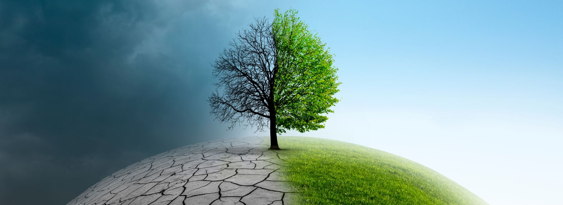 climate related financial reporting